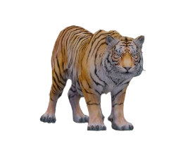 Rajah
